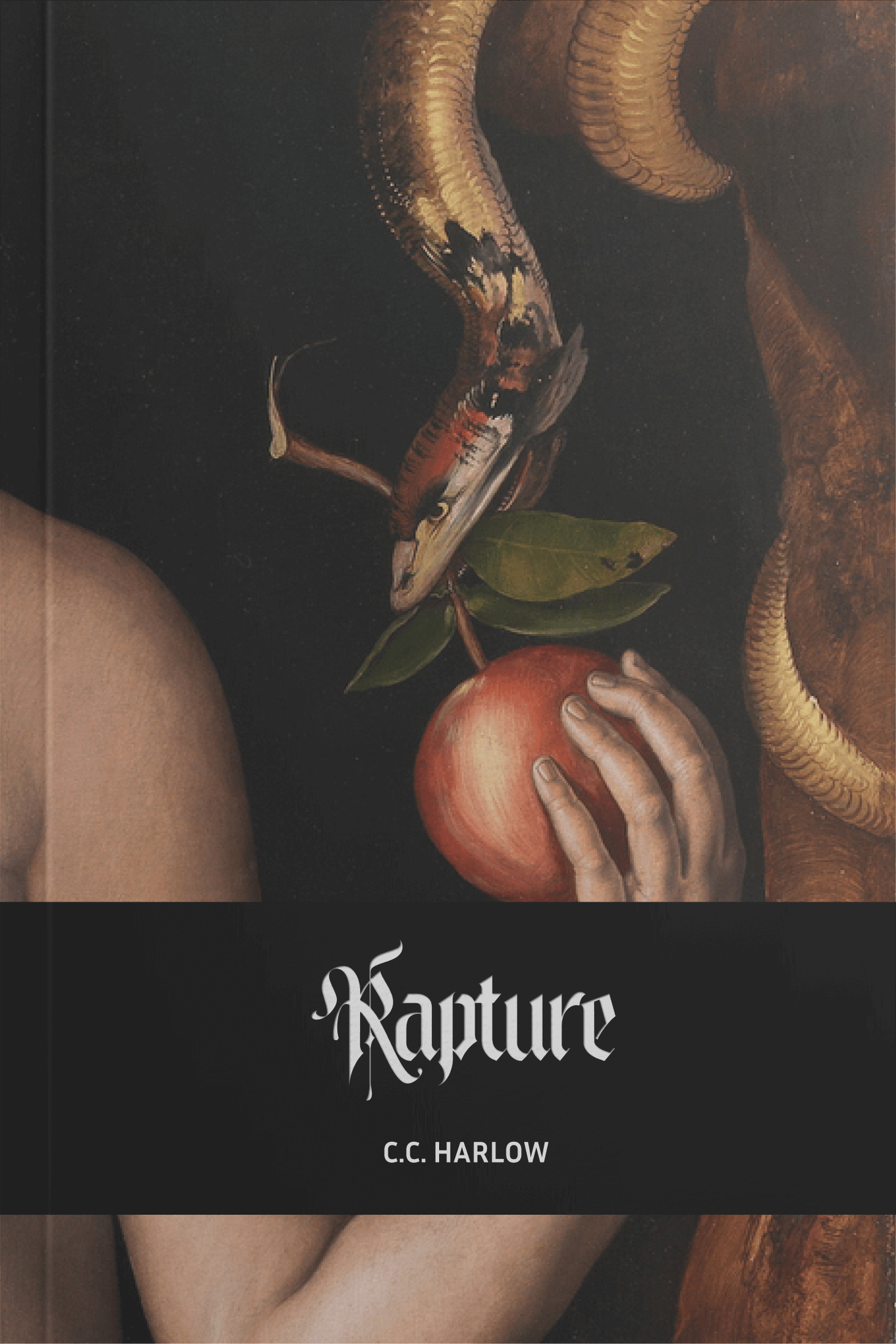 Rapture Book cover